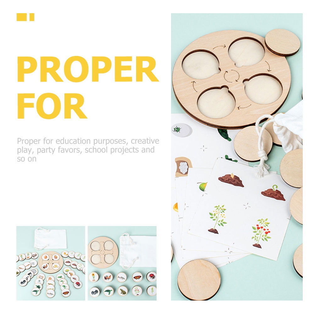 animal growth cycle model 1 Set Animals Life Cycle Board Animal Growth