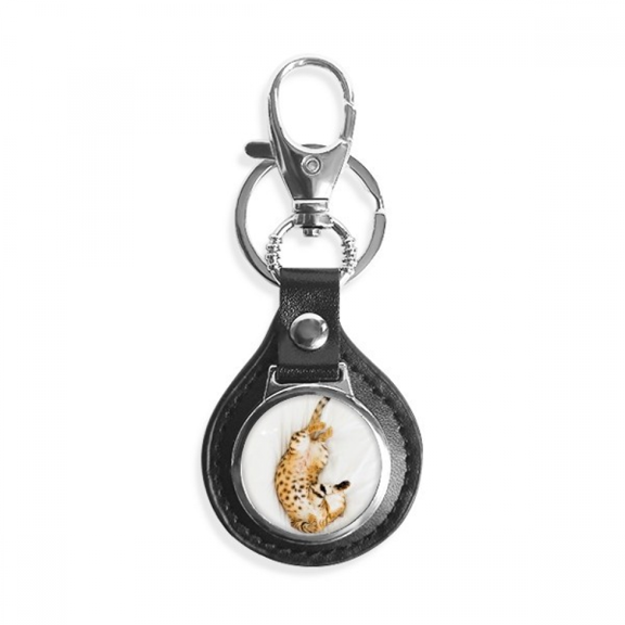 animal ocelot cat photograph key link chain keyholder finder hook metal