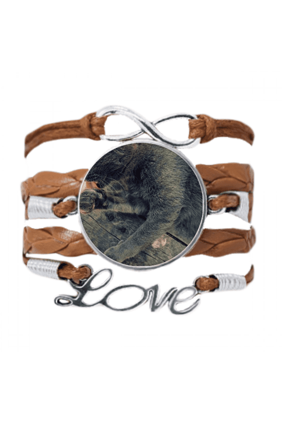 animal pattern gray cat photograph bracelet love chain ornament wristband