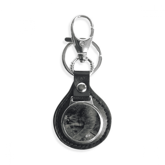 animal pattern gray cat photograph key link chain keyholder finder hook metal