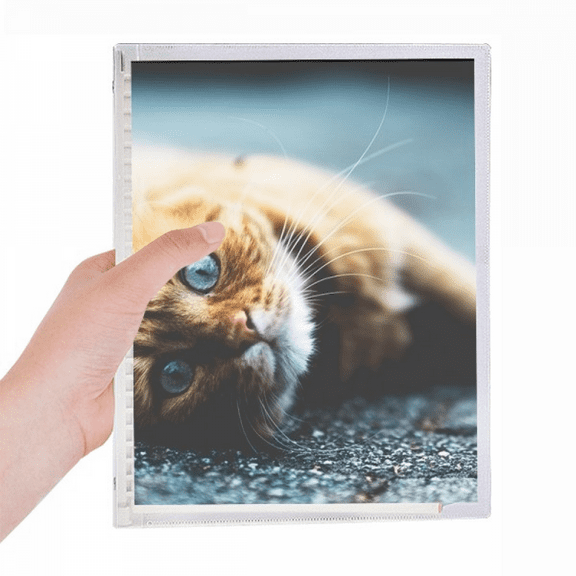 animal pure blue eye cat photograph notebook loose diary refillable journal statiry