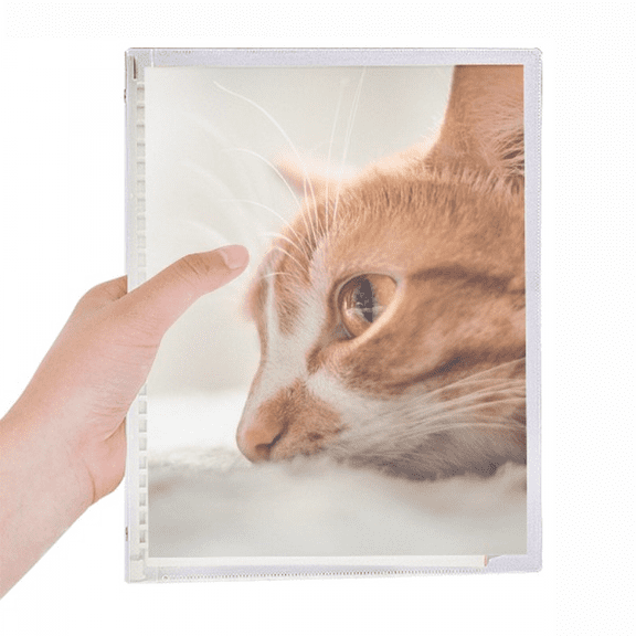 animal pure cat photograph picture notebook loose diary refillable journal statiry