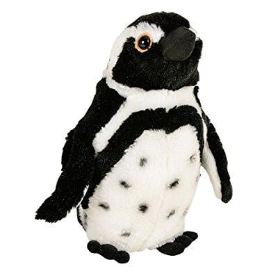 animal world - black footed penguin plush toy