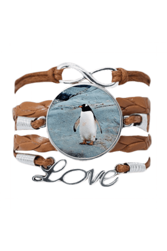 antarctic st ocean penguin nature science bracelet love chain ornament wristband