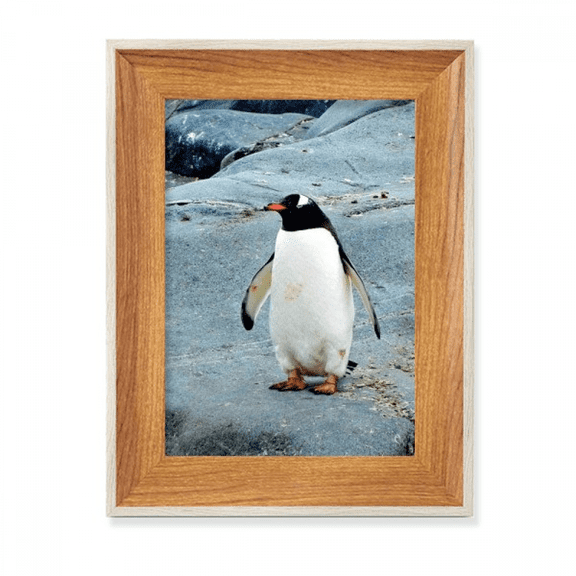 antarctic st ocean penguin nature science desktop wooden photo frame display picture art painting multiple sets