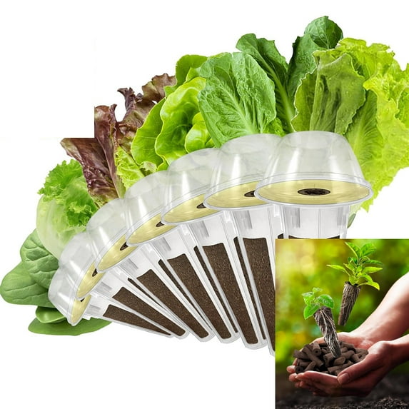apoloseedic Salad Greens Seed Pod Kit for AeroGarden, idoo with Red and Green Leaf, Romaine and American Fast/Buttercrunch/Paris Island Lettuce, Spinach - Compatible with All Hydroponics (7-Pod)