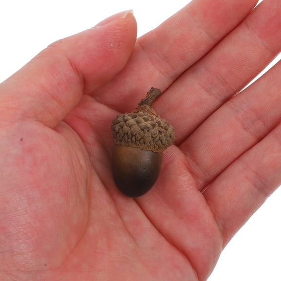 artificial acorns Small Artificial Acorn Set for Home Decoration (1.18X1.18X0.71Inch)