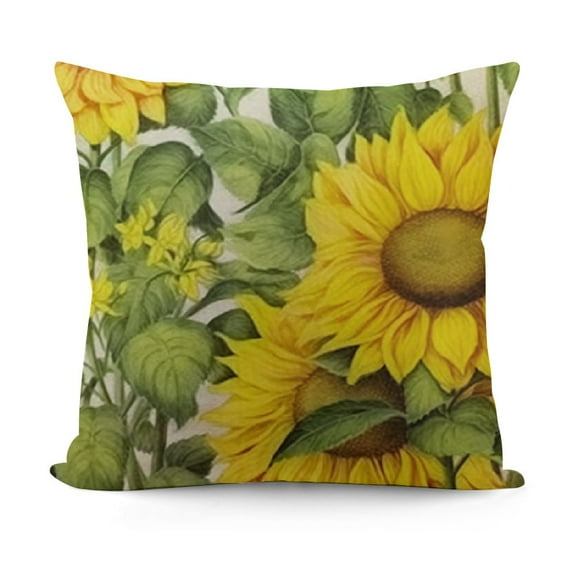 ative s et ofThrow Sofa