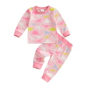 ATURUSTEX Little Girl 2pcs Casual Pajamas Outfits 6M 12M 18M 2T 3T 4T Toddler Baby Dinosaur Print Loungewear O Neck Sweatshirts Long Sleeve Pullovers ose Cute Comfy Sleepwear for Spring Fall