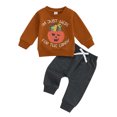 thumbnail image 1 of aturustex Toddler Boys Halloween Tracksuits Clothes Set 0-3T Infant Long Sleeve Sweatshirts Pumpkin Letter Print Pullovers Crew Neck Tops Pocket Sweatpants Long Pants Kids 2-Piece Casual Fall Outfits, 1 of 8