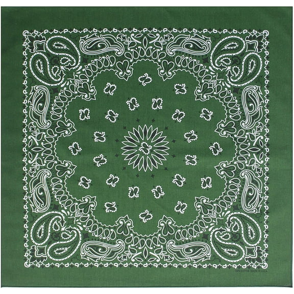 $averPak BodyForge & InsectGuard - Permethrin Treated Insect Repellent Bandana Face Mask Headband Paisley (Hunter Green)