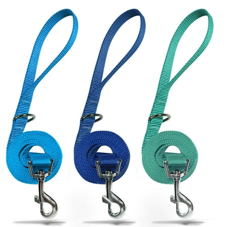 azuza 3 Pack Nylon Dog Leashes Strong & Durable Basic Leash 4/5/6 FT