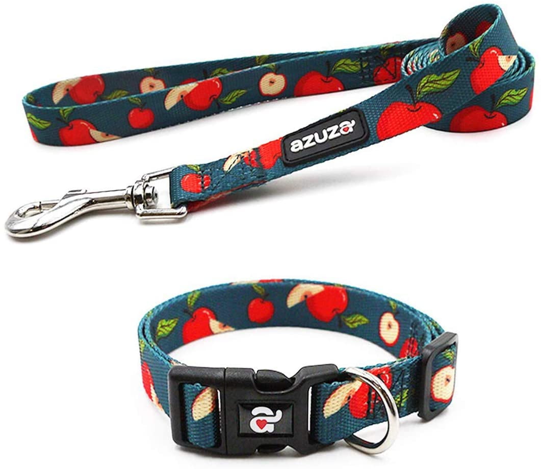 azuza Dog Collar and Leash Set Nylon Collar Leash for Small Medium and Large Dogs