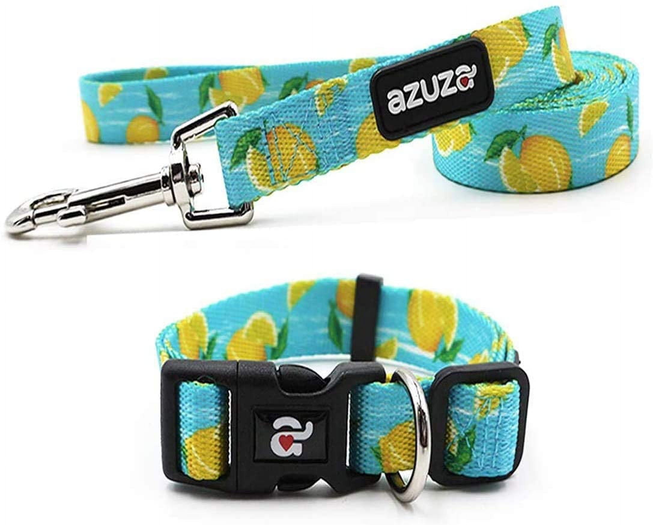 azuza Dog Collar and Leash Set Nylon Collar Leash for Small Medium and Large Dogs