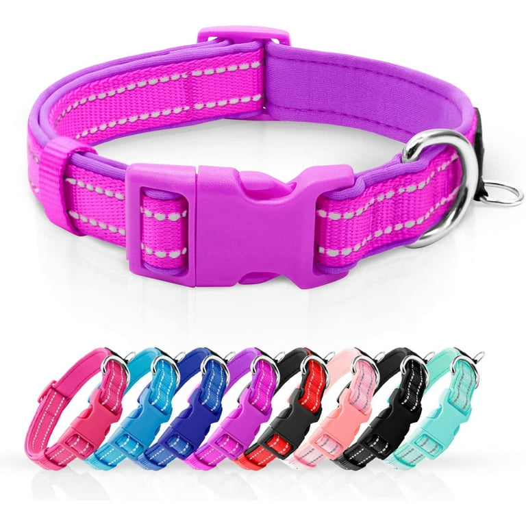 Fluorescent dog collars 2025