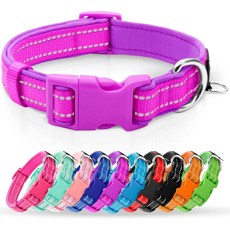 Neoprene padded dog collar store