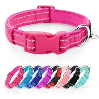 Dog Collars in Dog Collars Leashes and Harnesses Walmart