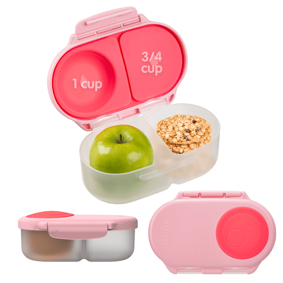 b.box Snack Box for Kids & Toddlers: 2 Compartment Snack Containers, Mini Bento Box BPA free (Flamingo Fizz, 1.75 cup capacity)