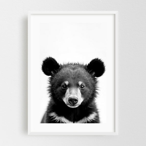 baby bear - Photography Animal Black and White Wildlife Portrait Nature Minimalist White Framed Wall Art Print 24 x 36 inches