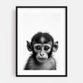 thumbnail image 1 of baby monkey - Photography Animal Wildlife Black and White Portrait Nature Illustration Black Framed Wall Art Print 5 x 7 inches, 1 of 8