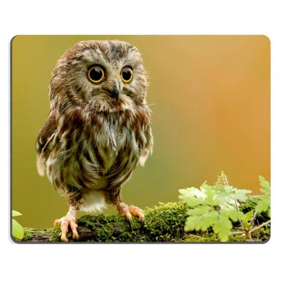 baby owl Mouse pads Gaming Mouse Pad 9.84x7.87 inches
