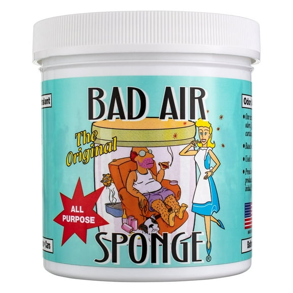 Bad Air Sponge Odor Neutralizer and Eliminator with Deghost Formula, 14 oz, 12 Pack