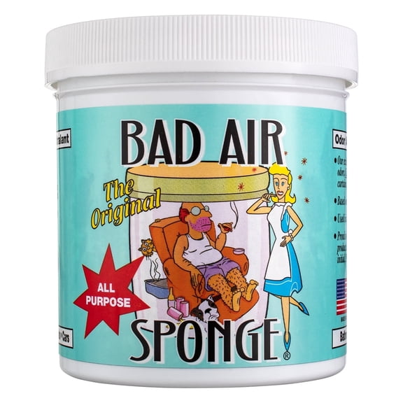 Bad Air Sponge Odor Absorber, Home & Pet Odor Eliminator, Bad Smell Eliminator for Indoor Air, 14 oz (Pack of 12)