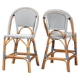 thumbnail image 1 of bali & pari Genica Navy and White Weaving and Rattan 2-Piece Counter Stool Set, 1 of 6