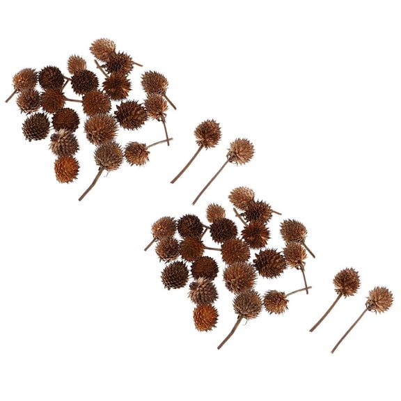 balikha 100 Pieces Natural Dry Flowers Gomphrena Globosa Buds Decorative Dried Flower Accents For Wedding Floral Arrangements Home Decorations Table Ornaments
