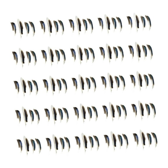 balikha 100Pcs Artificial Feathers Decorative Feathers Comfortable Novelty Crafting Costume Accessories for Festival Gift Box Filling