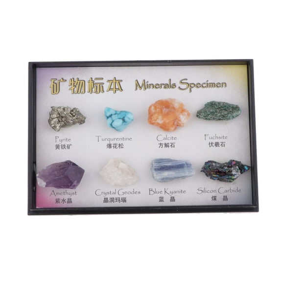 balikha 8Pcs Educational Geology Science Rock And Mineral Specimen Collection