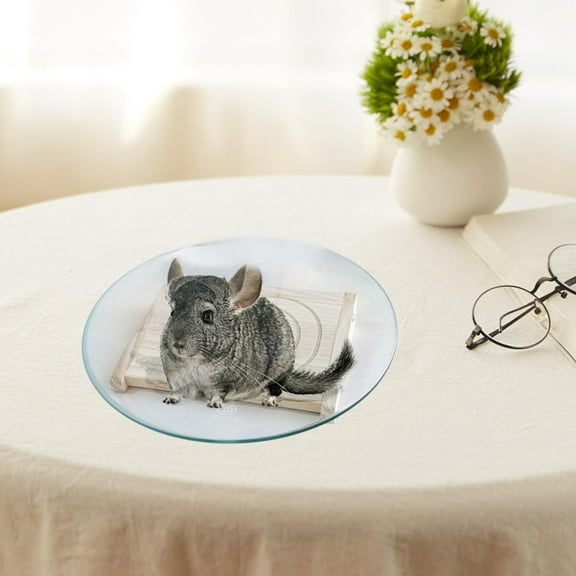 balikha Hamster Wheel Disc Quiet Hamster Toy for Small Pets Hedgehog Gerbils