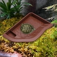 thumbnail image 1 of balikha Reptile Water Dish with Ramp Landscape Reptile Bathing Pool for Snake Brownish Red, 1 of 9