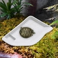 thumbnail image 1 of balikha Reptile Water Dish with Ramp Landscape Reptile Bathing Pool for Snake White, 1 of 9