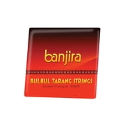 banjira Bulbul Tarang String Set