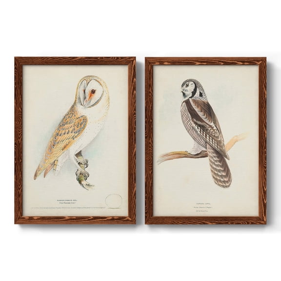 Barn Owl - Premium Framed Canvas 2 Piece Set - Ready to Hang