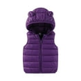 thumbnail image 1 of bbymog Girls' Winter Puffer Vest with Pocket Solid Color Hooded Zip Up Jacket Boys' Outerwear Jackets & Coats Purple D 18 Months, 1 of 3