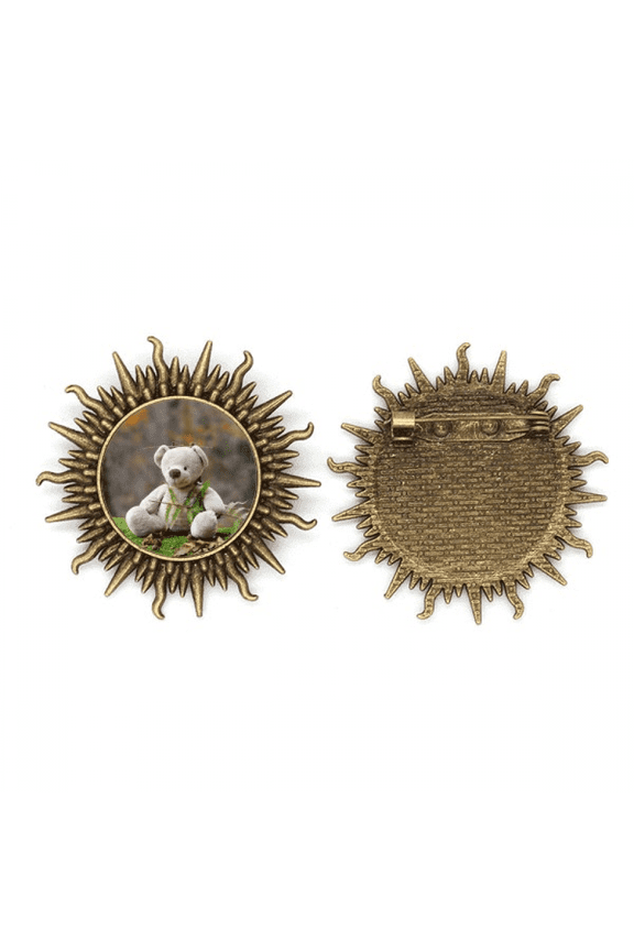 bear ry science nature metall sonne brosche haken pin