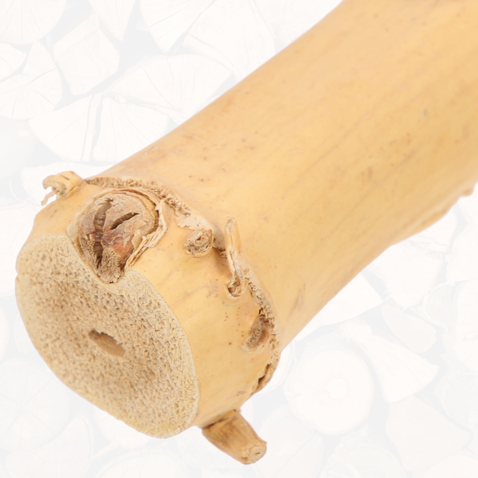 bearded dragon accessories Bearded Dragon Tank Decor Reptile Tree Branch Suction Cup Type Wood