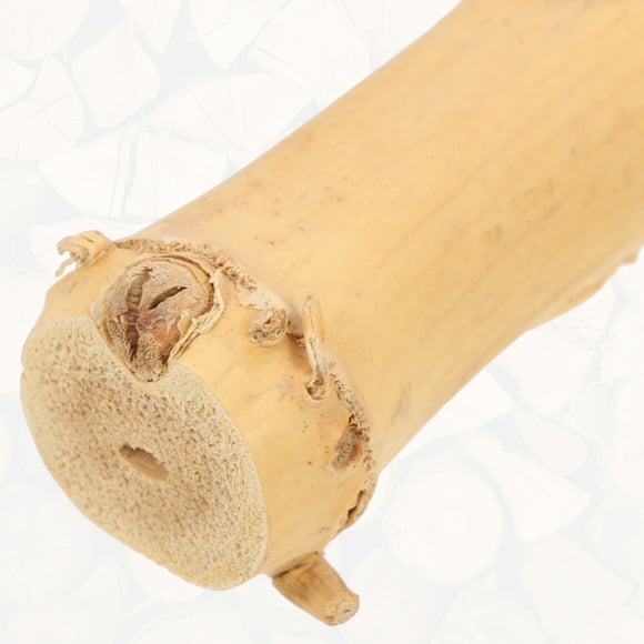 Bearded Dragon Climbing Accessories