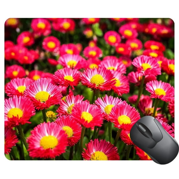 beautiful aster flowers in spring Mouse pads Gaming Mouse Pad 9.84x7.87 inches