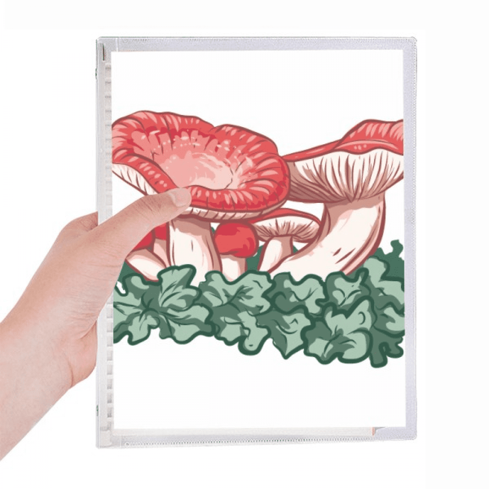 beautiful red poisonous mushroom illustration notebook loose diary refillable journal statiry