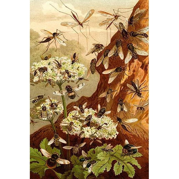 bees- Fine Art Canvas Print (20" x 30")
