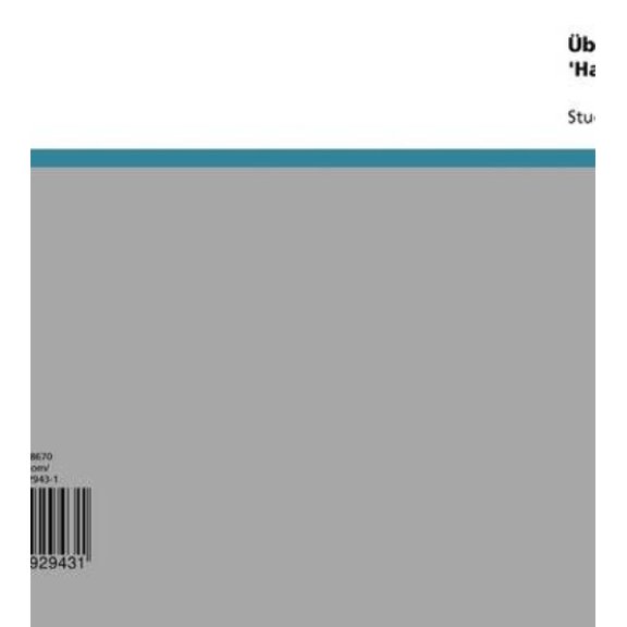 Uber Das Essayistische in Bill Violas 'Hatsu-Yume'