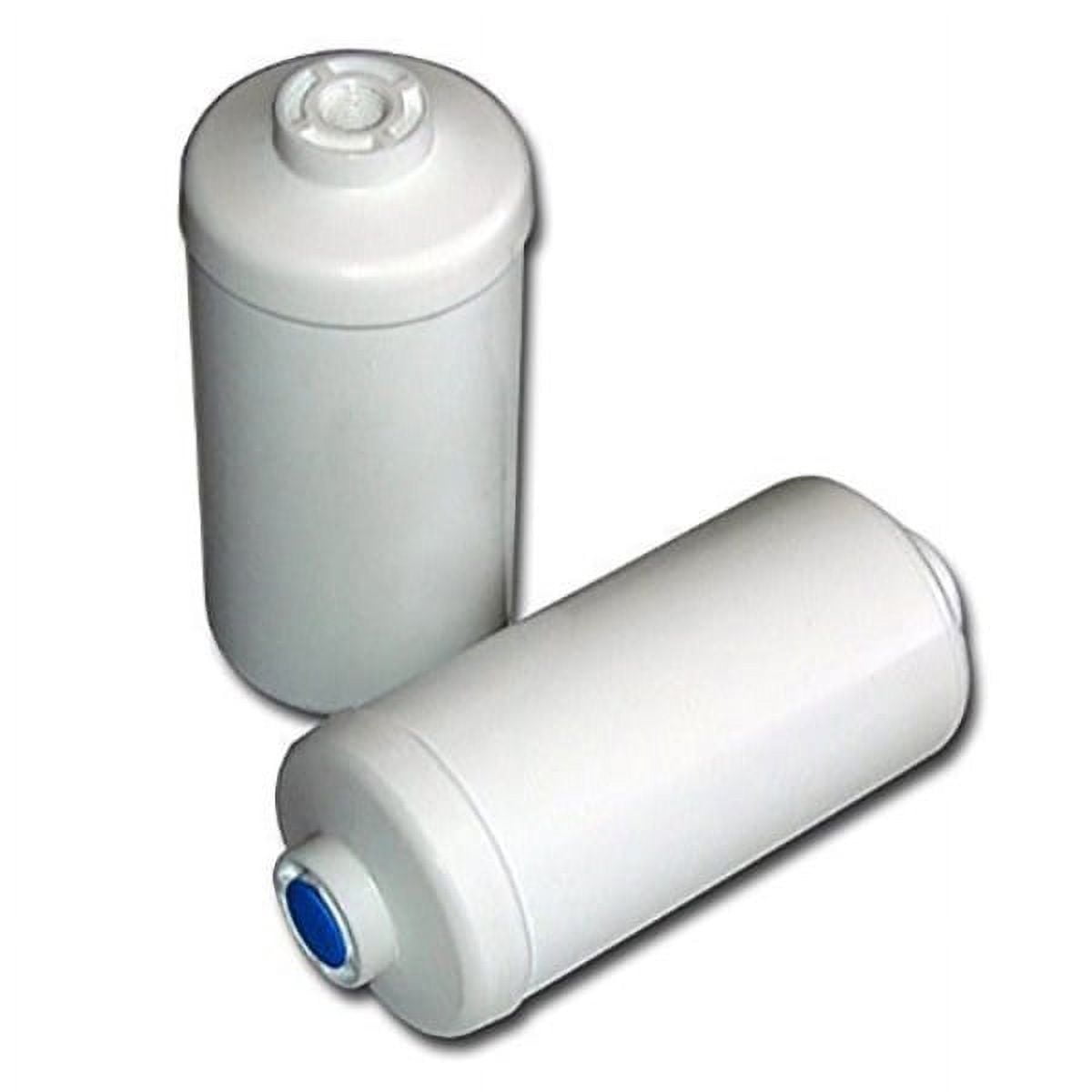 berkey pf-2 fluoride/arsenic replacement filters, 4-pack