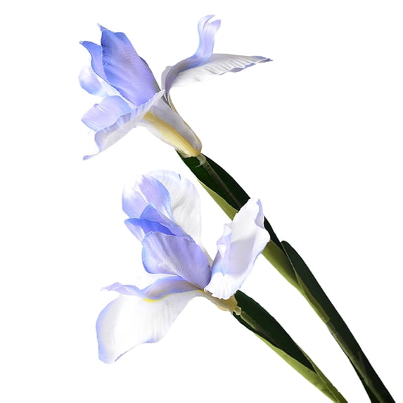 bestolf Artificial Iris Flower 2 Heads Faux Silk Flower Bouquet Long Stem Fake Iris Flowers for Floral Arrangements Table Centerpiece Party Wedding Decor