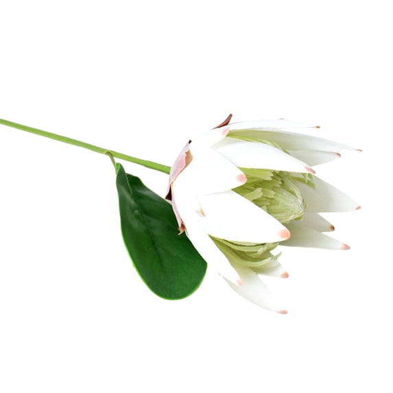 bestolf Artificial King Protea Flowers Lifelike Tropical Floral Arrangements Faux Protea Cynaroide with Stem for Wedding Centerpiece Home Office Table Decor