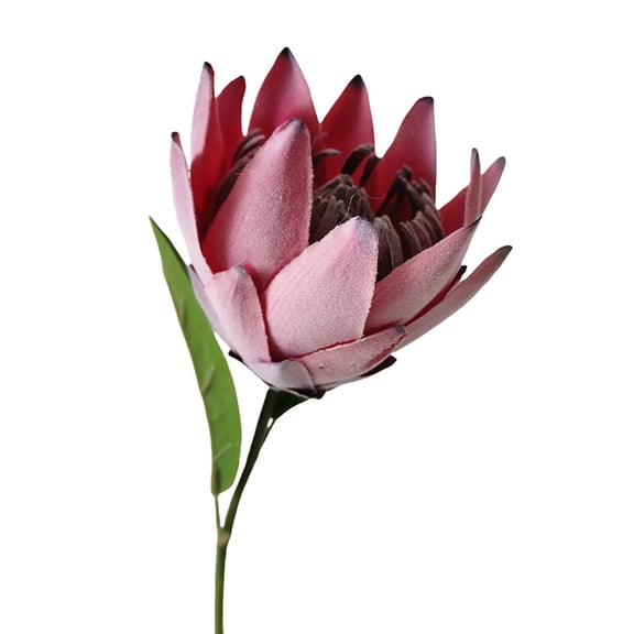 bestolf Artificial King Protea Flowers Lifelike Tropical Floral Arrangements Faux Protea Cynaroide with Stem for Wedding Centerpiece Home Office Table Decor