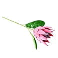 thumbnail image 1 of bestolf Artificial King Protea Flowers Lifelike Tropical Floral Arrangements Faux Protea Cynaroide with Stem for Wedding Centerpiece Home Table Decor (B), 1 of 8