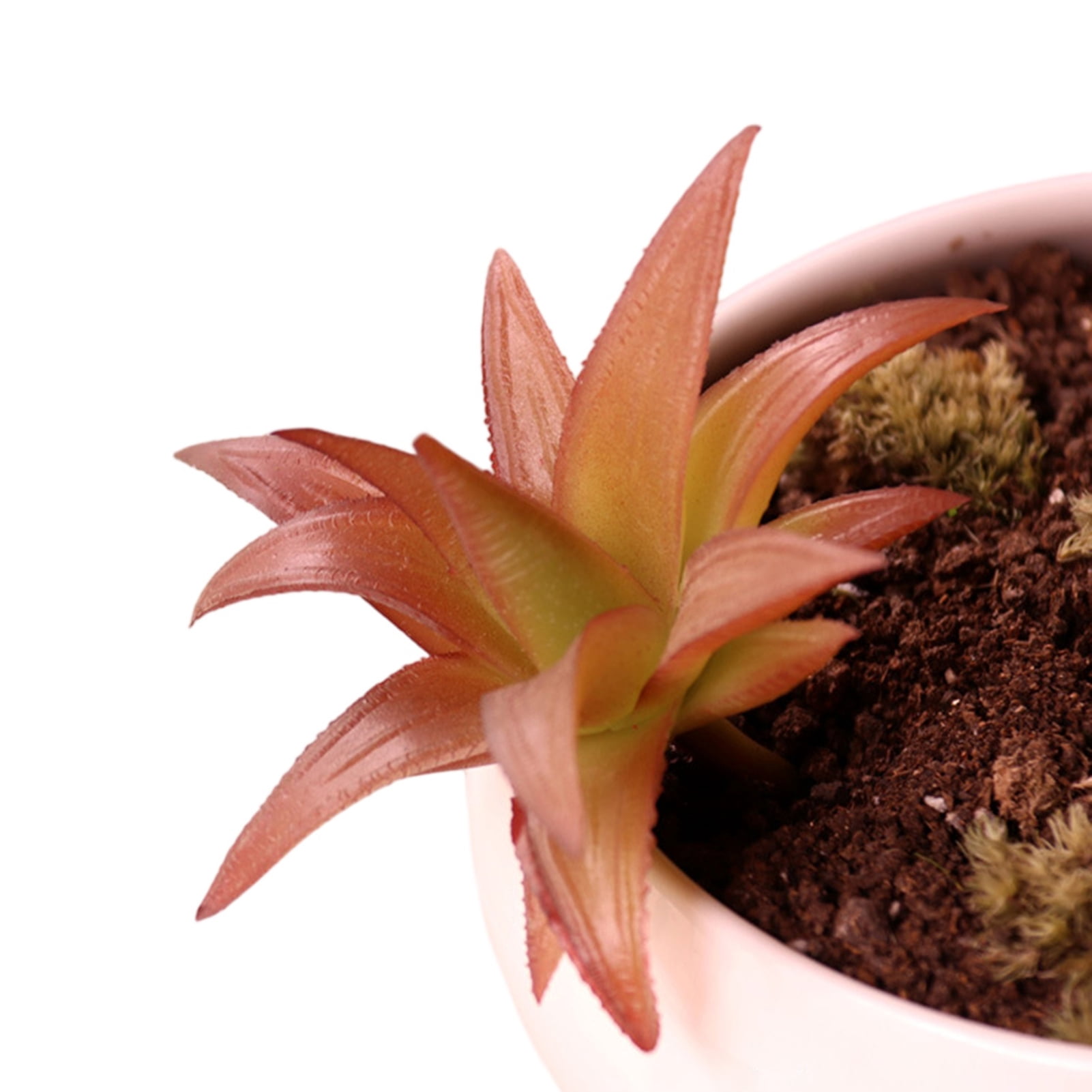 bestolf Mini Artificial Succulents Realistic Fake Small Cactus Plants ...
